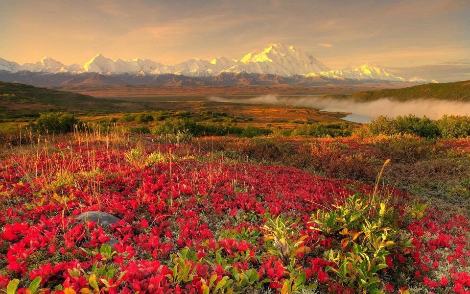 Download Denali National Park And Preserve Best Live Wallpapers Photos Backgrounds wallpaper
