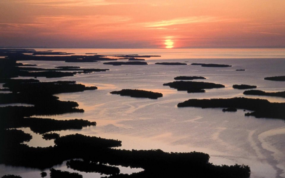 Download Everglades National Park Best Free New Images wallpaper