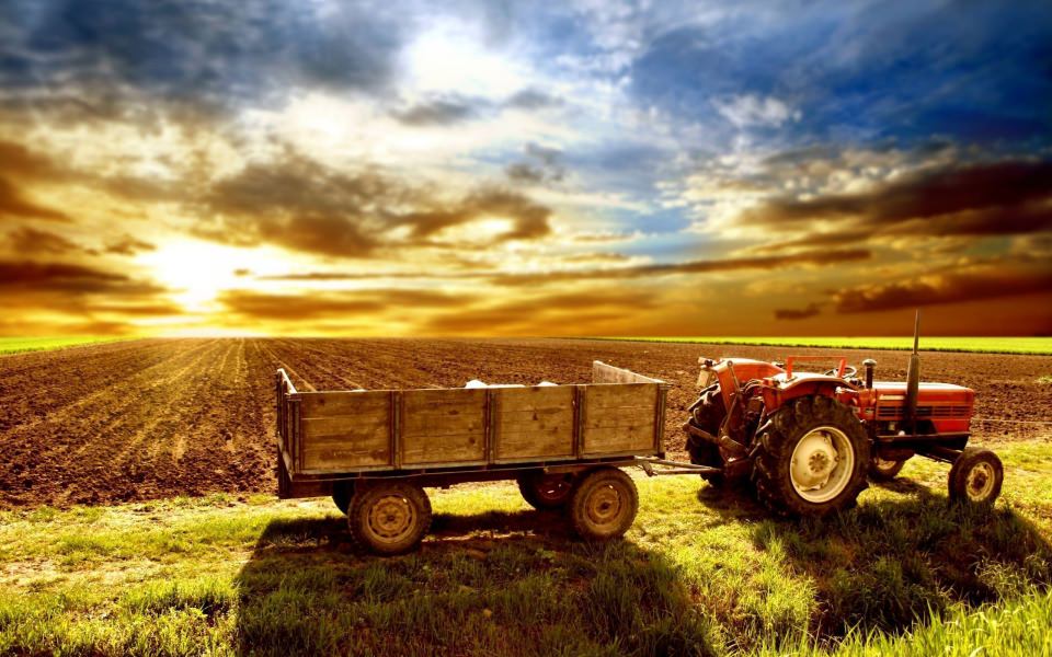 Download Farmall Tractors WhatsApp DP Background For Phones wallpaper