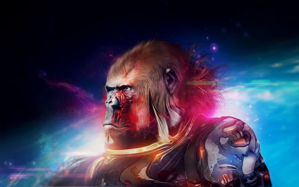 Download Gorilla 4K 8K 2560x1440 Free Ultra HD Pictures Backgrounds Images wallpaper