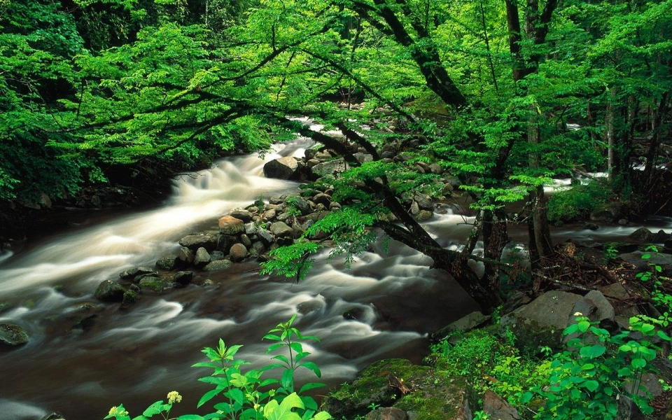 Download Great Smoky Mountains National Park 4K 5K 8K Backgrounds For Desktop And Mobile wallpaper