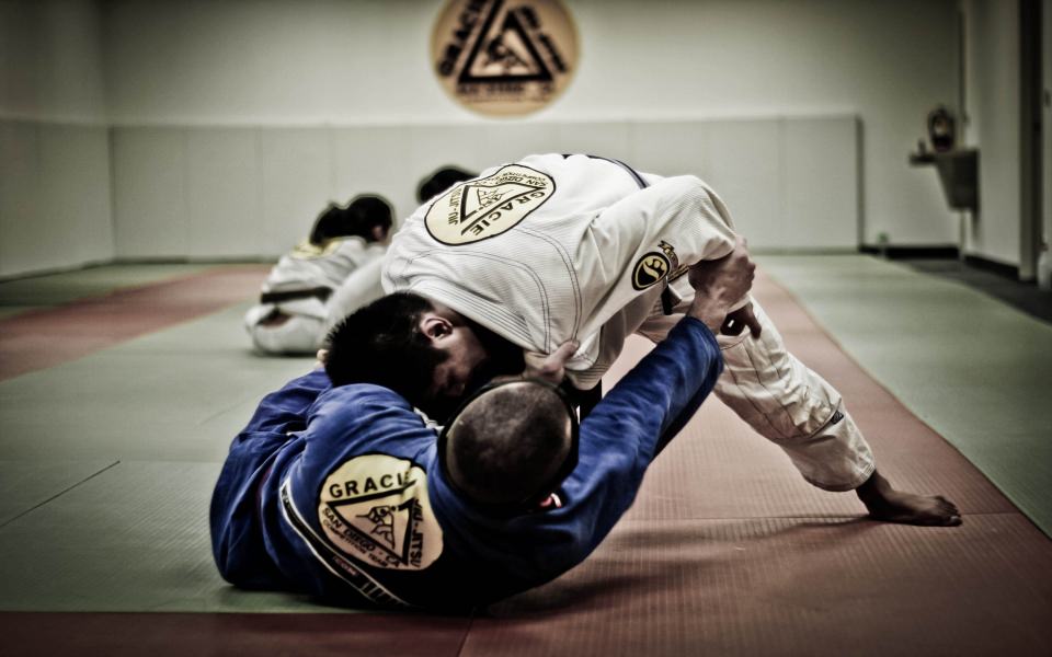 Featured image of post Wallpaper Jiu Jitsu Para Celular