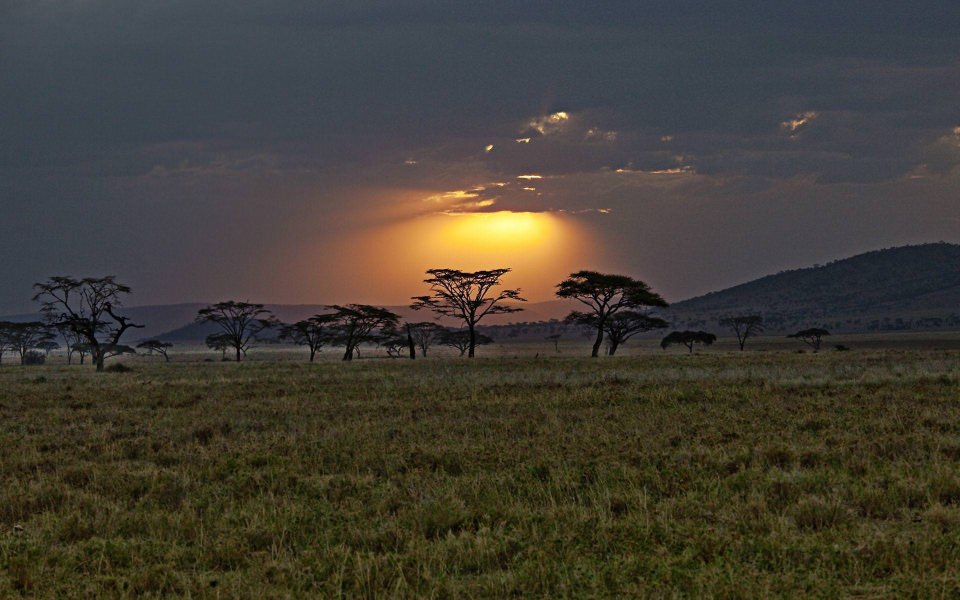Download Kenya 2560x1600 To Download For iPhone Mobile wallpaper