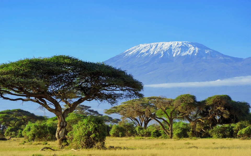 Download Kilimanjaro 1920x1080 4K 8K Free Ultra HD HQ Display Pictures Backgrounds Images wallpaper