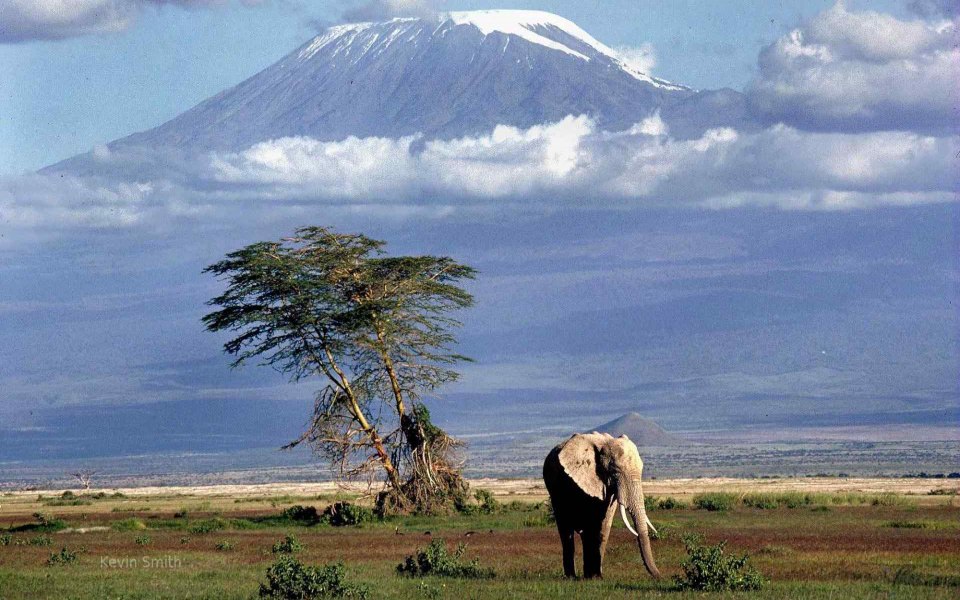 Download Kilimanjaro Best Live Wallpapers Photos Backgrounds wallpaper