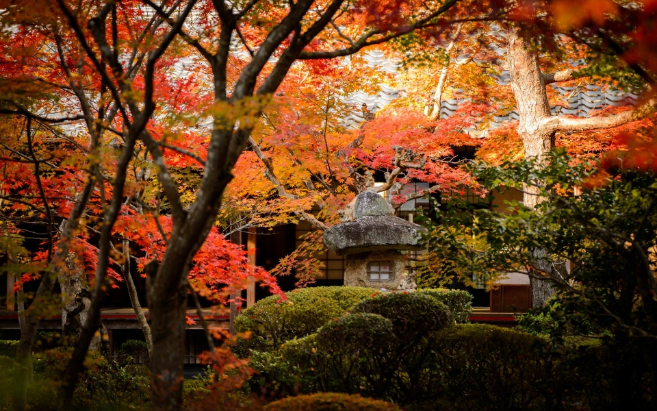 Download Kyoto Mobile iPhone iPad Images Desktop wallpaper