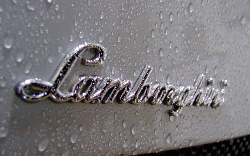 Download Lamborghini Logo Download Original In 4K wallpaper