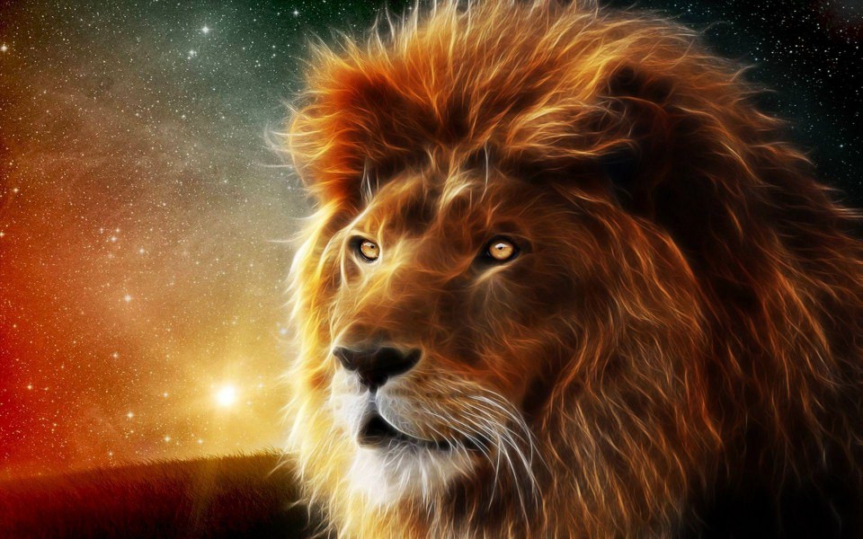 Download Lion iPhone Images In 4K Download wallpaper