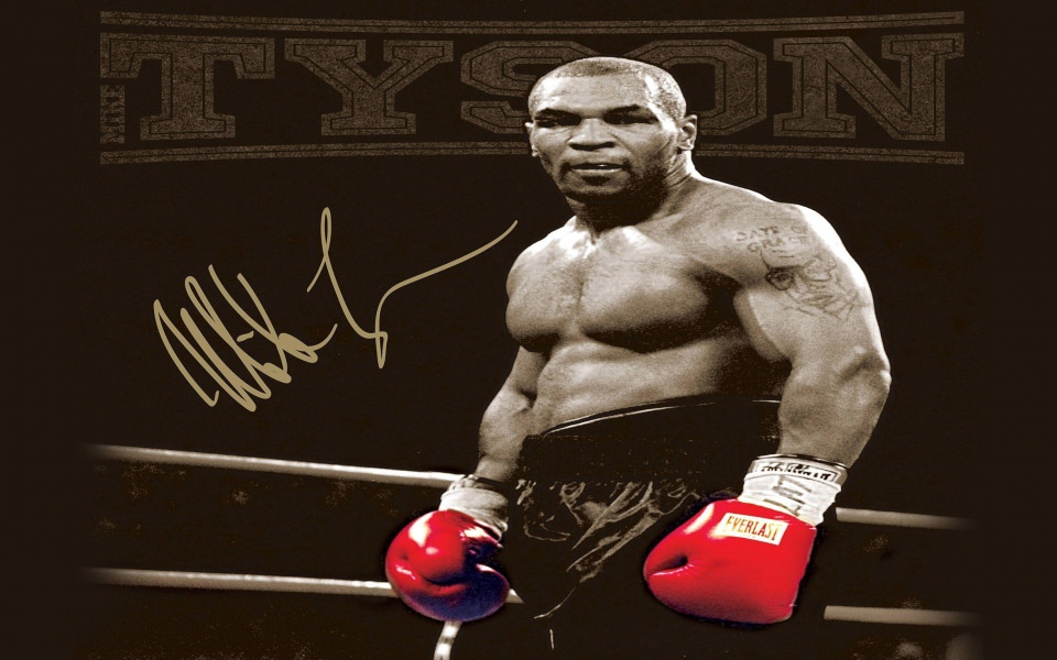Mike tyson boxing HD wallpapers  Pxfuel