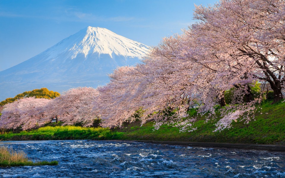 Download Mount Fuji Ultra HD 1080p 2560x1440 Download wallpaper