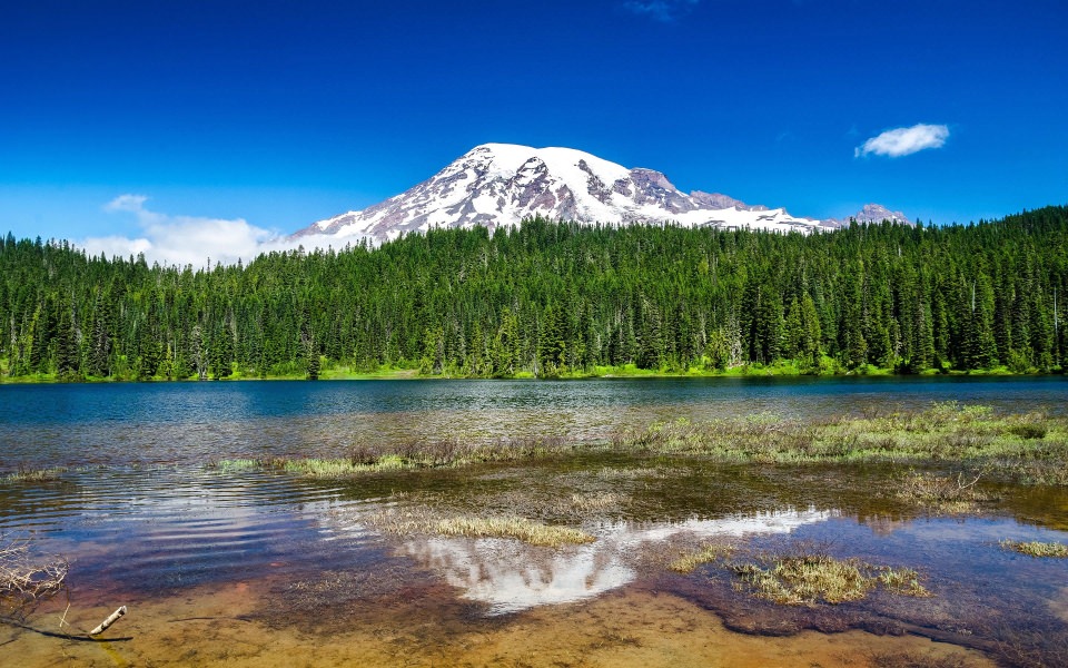 Download Mount Rainier National Park 4k Wallpaper For iPhone 11 MackBook Laptops wallpaper