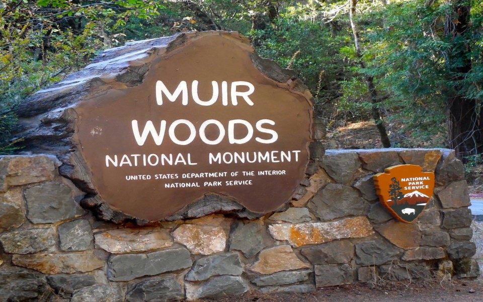 Download Muir Woods National Monument San Francisco Download Free HD Background Images wallpaper