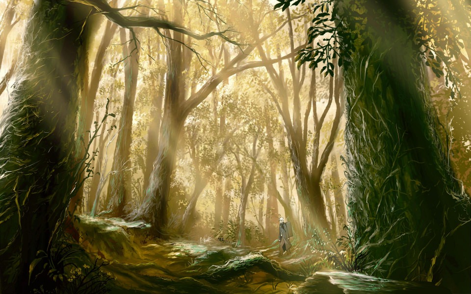 Download Mushishi iPhone Images Backgrounds In 4K 8K Free wallpaper