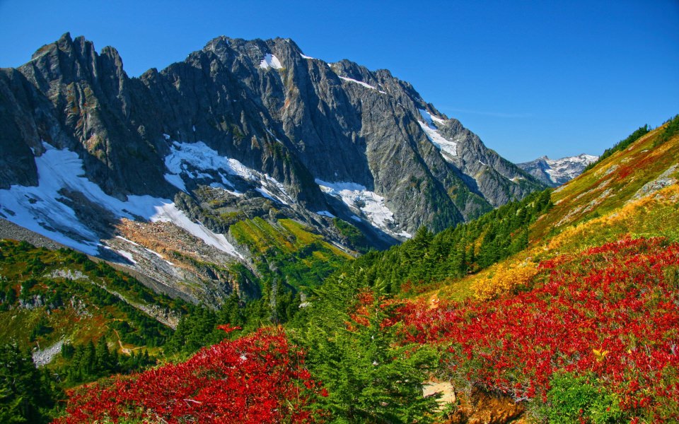 Download North Cascades National Park iPhone Images Backgrounds In 4K 8K Free wallpaper