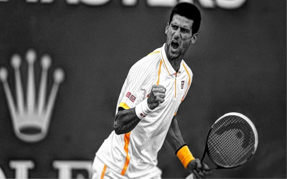 Download Novak Djokovic 4K 8K HD Display Pictures Backgrounds Images wallpaper