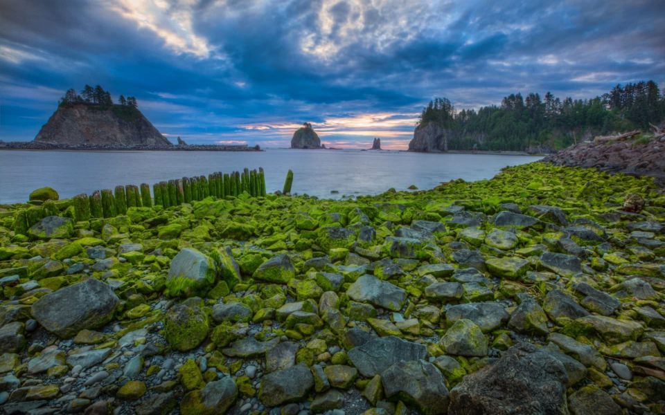 Download Olympic National Park 4K 8K Free Ultra HD Pictures Backgrounds Images wallpaper
