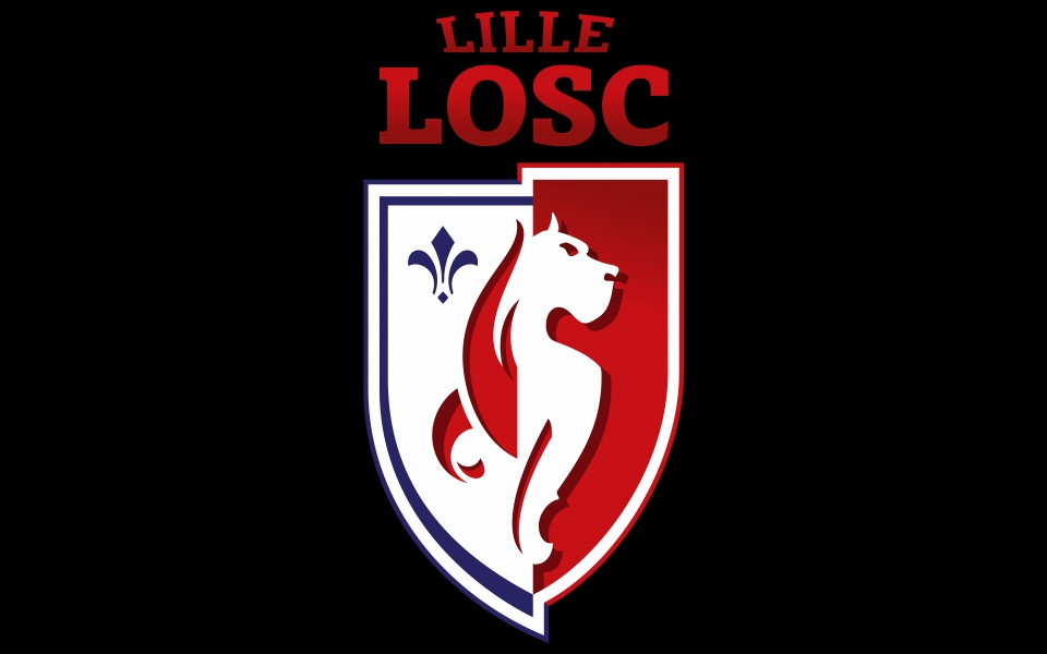 Download Osc Lille 3000x2000 Best Free New Images Photos Pictures Backgrounds wallpaper