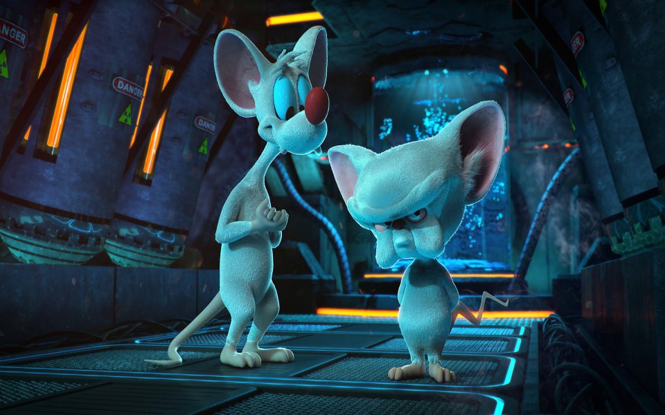 Download Pinky And The Brain 4K 8K Free Ultra HQ iPhone Mobile PC wallpaper