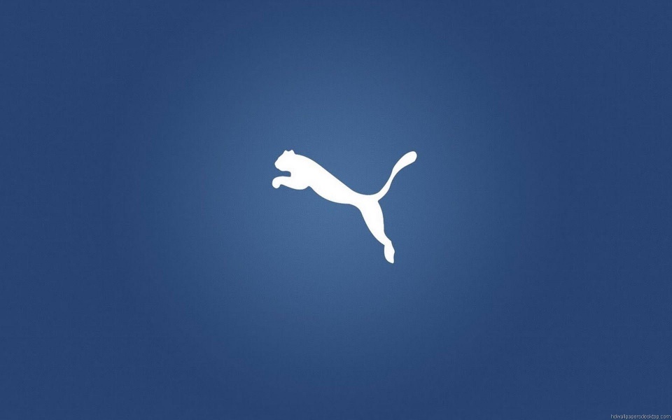 Download Puma 4K 8K Free Ultra HD HQ Display Pictures Backgrounds Images wallpaper