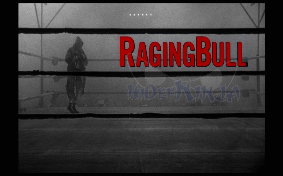Download Raging Bull 4K 8K Free Ultra HD Pictures Backgrounds Images wallpaper