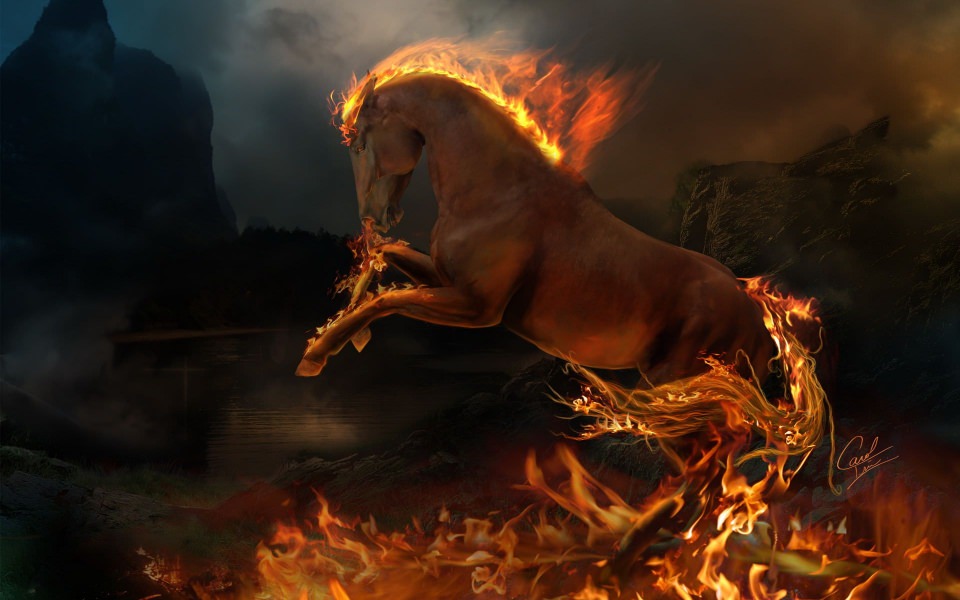 Download Rapidash Free Wallpapers HD Display Pictures Backgrounds Images wallpaper