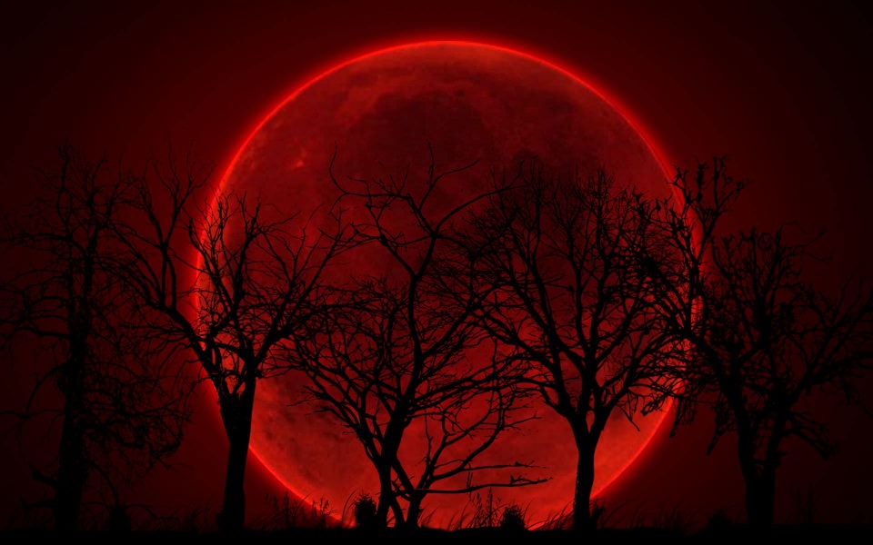 Download Red Moon Wallpaper 1920x1080 3000x2000 Best Free New Images Photos Pictures Backgrounds wallpaper
