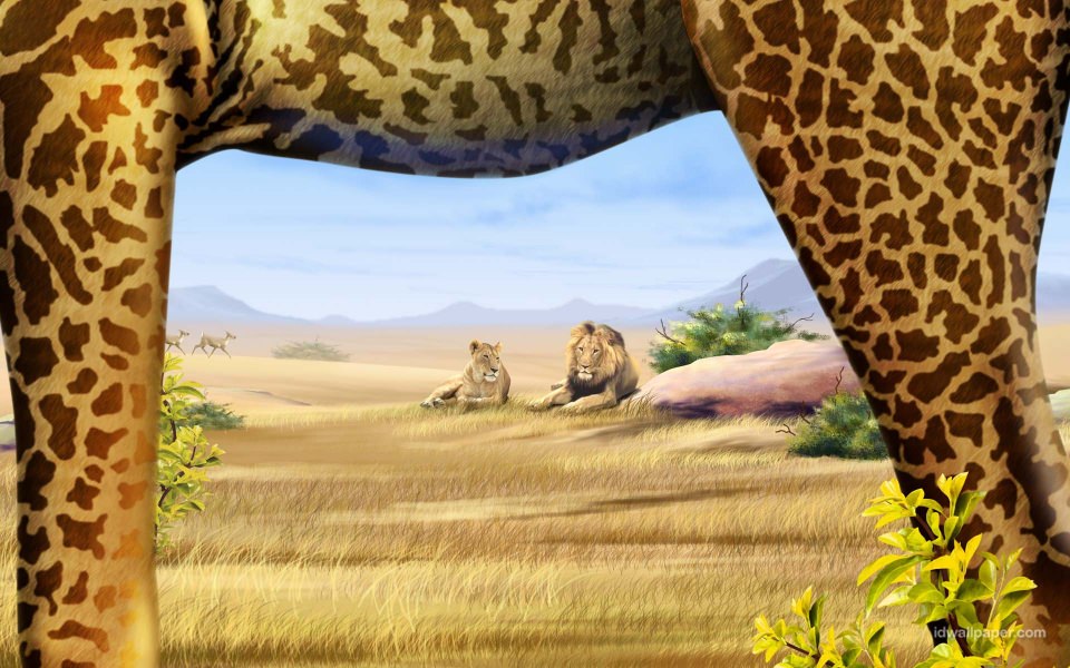 Download Safari 3D HD wallpaper