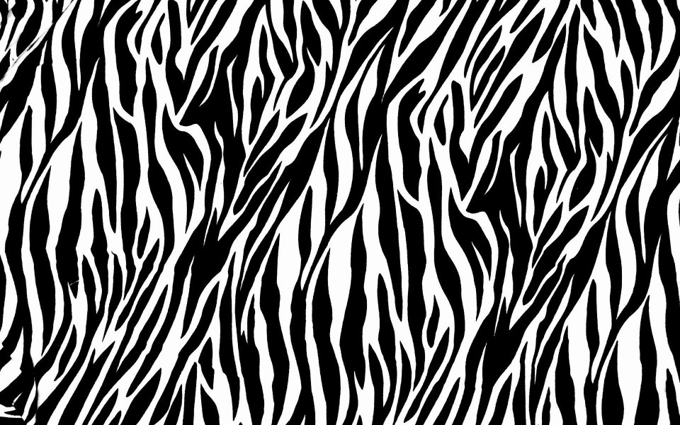 Download Scalamandre Zebras WhatsApp DP Background For Phones wallpaper