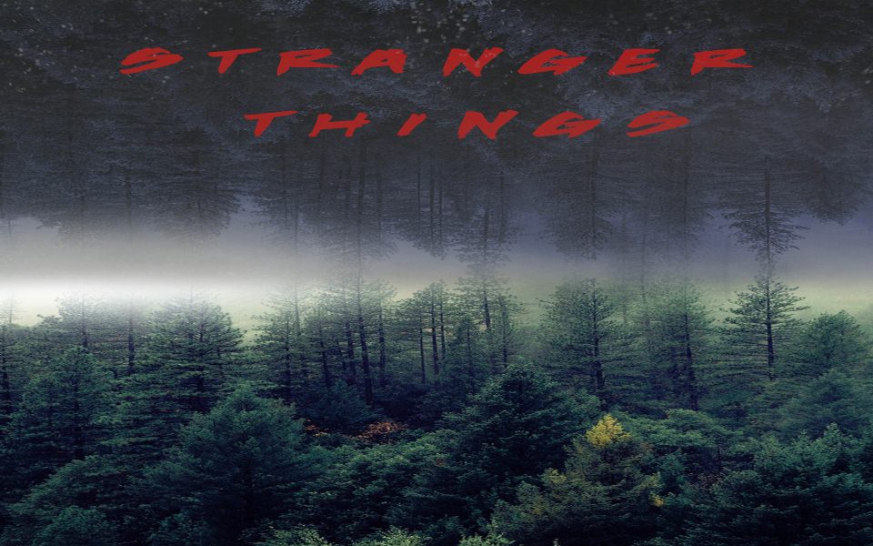 Download Stranger Things Free To Download In 4K wallpaper