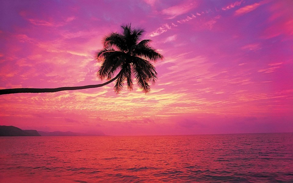 Download Sunset Beach HD Wallpaper For Mac Windows Desktop Android wallpaper