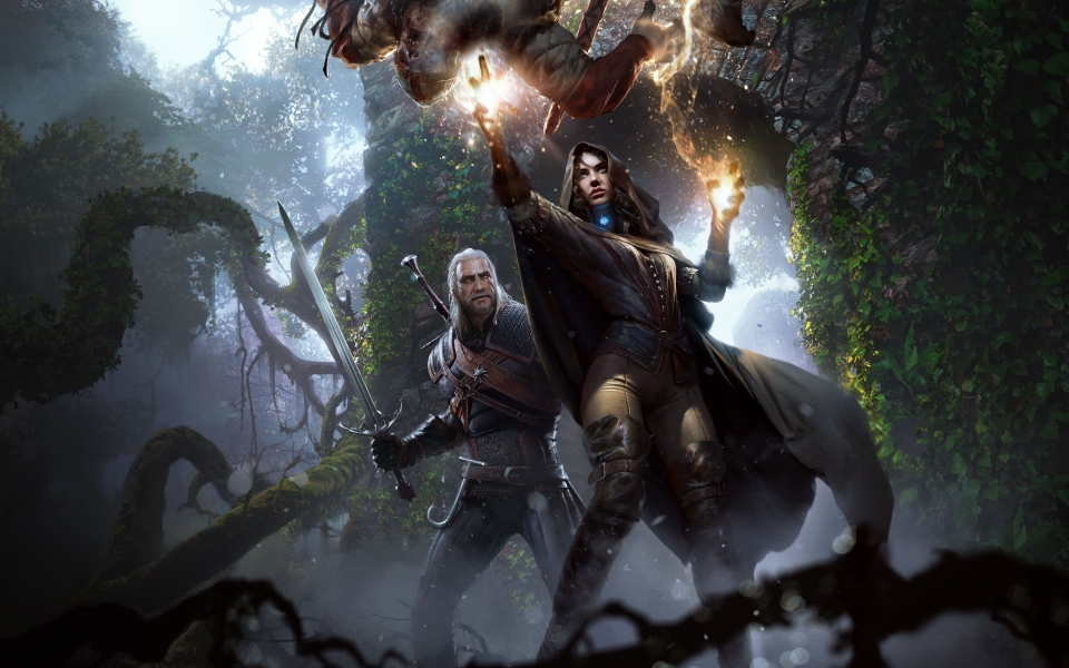 Download The Witcher 3 Wild Hunt DP Background For Phones wallpaper