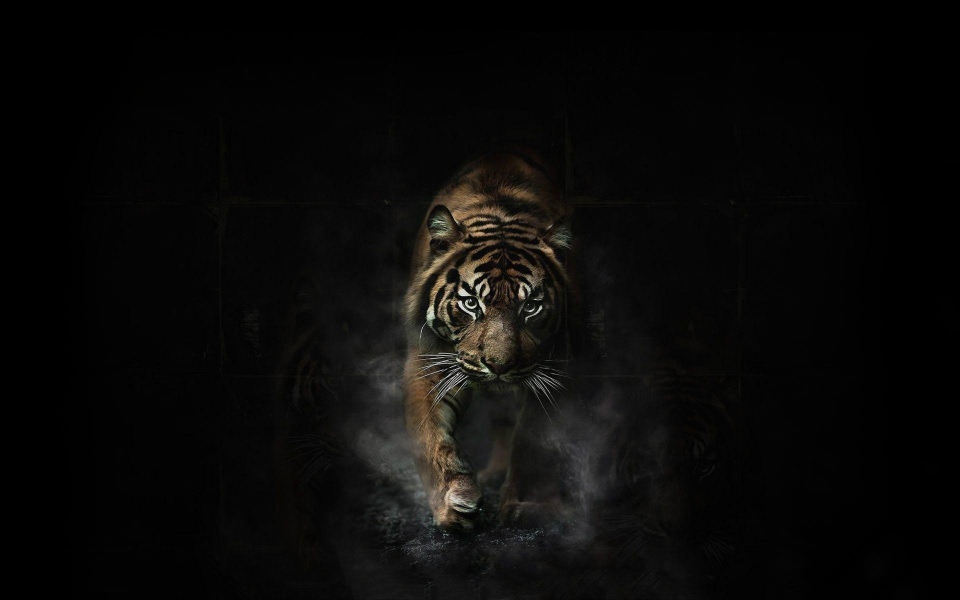 Tiger Download For Mac