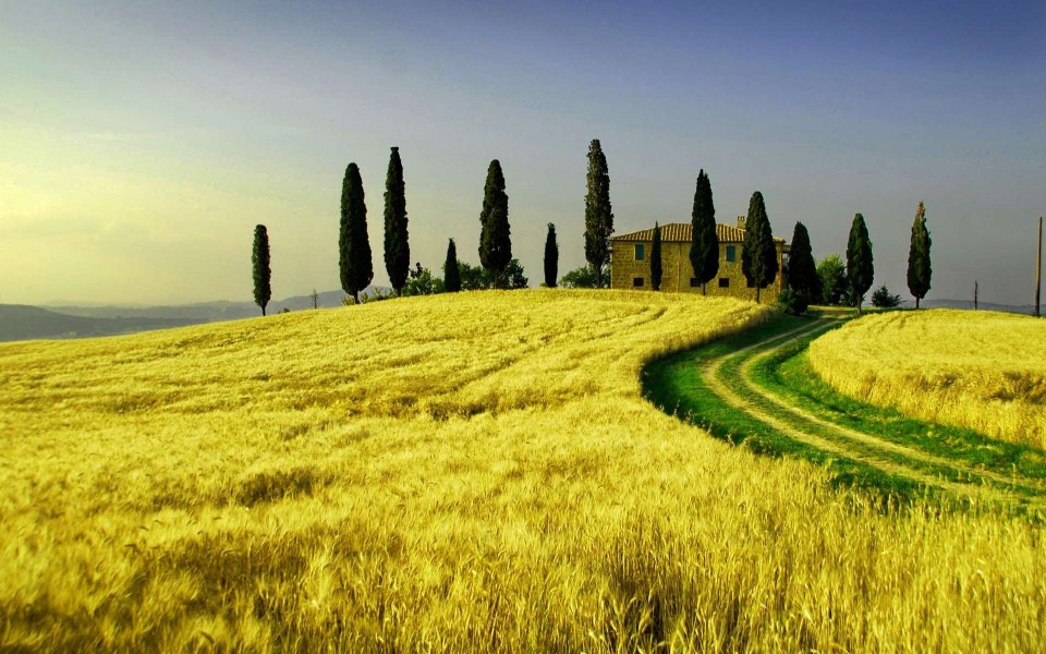 Download Tuscan Countryside Widescreen Best Live Download Photos Backgrounds wallpaper