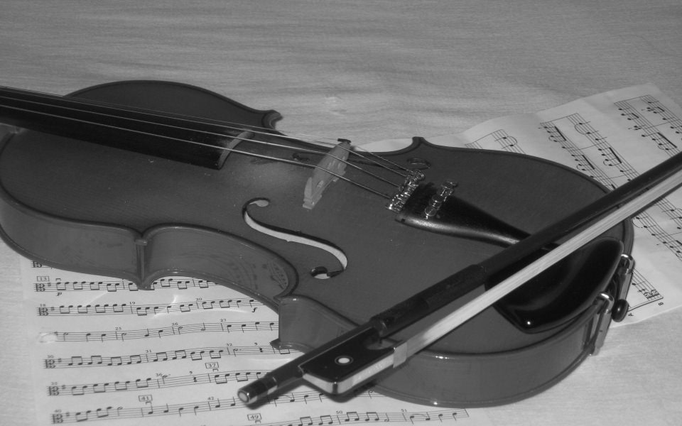 Download Viola 4K 8K Free Ultra HD HQ Display Pictures Backgrounds Images wallpaper