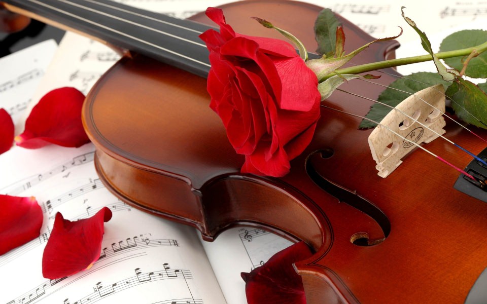 Download Violin 1920x1080 4K 8K Free Ultra HD HQ Display Pictures Backgrounds Images wallpaper