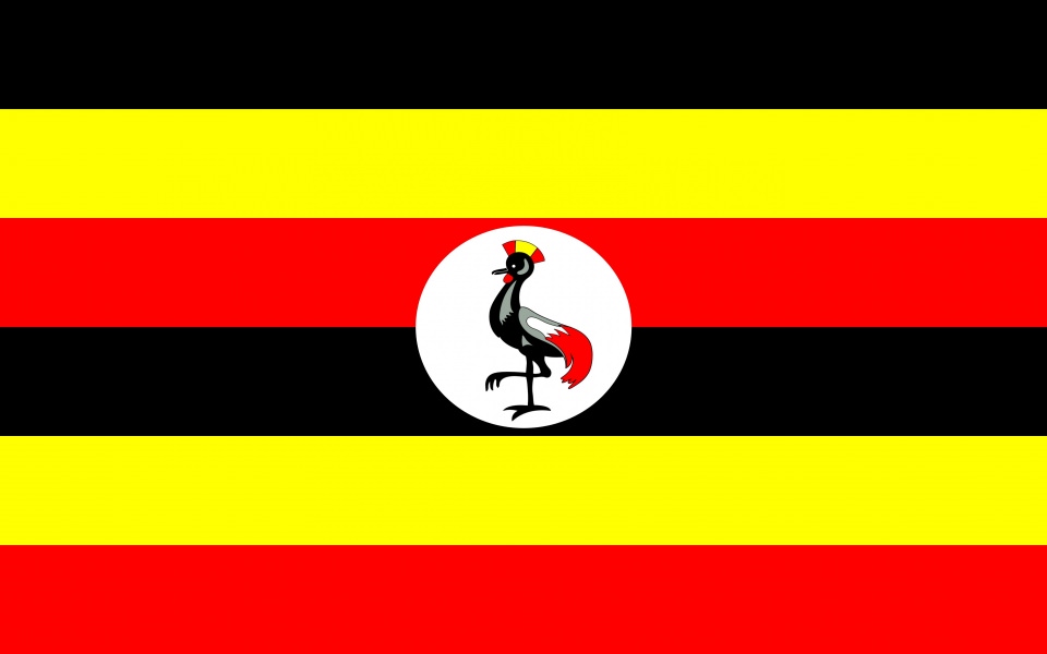 Download Wallpapers Uganda Knuckles HD 1080p 2020 2560x1440 Download