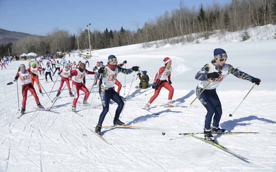 Download Winter Biathlon 4D Display Pictures Backgrounds Images wallpaper