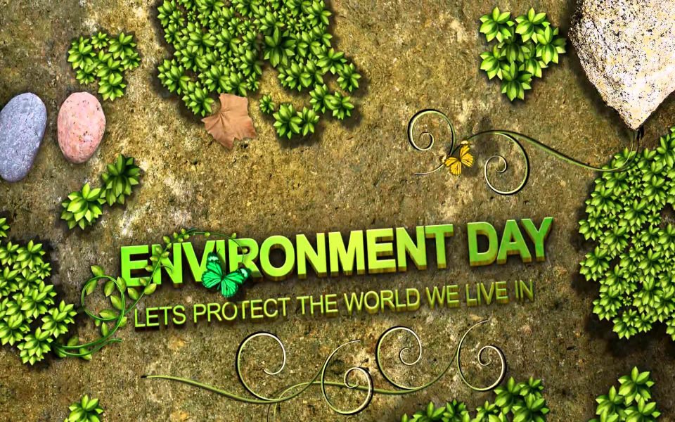 Download World Environment Day Download Free HD Background Images wallpaper