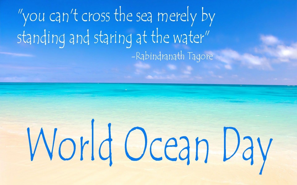 Download World Oceans Day 4K 5K 8K HD Mac iOS wallpaper