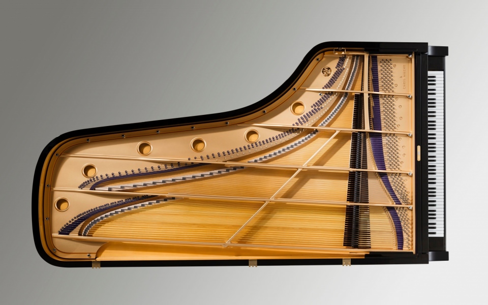 Download Zither 4K Ultra HD wallpaper