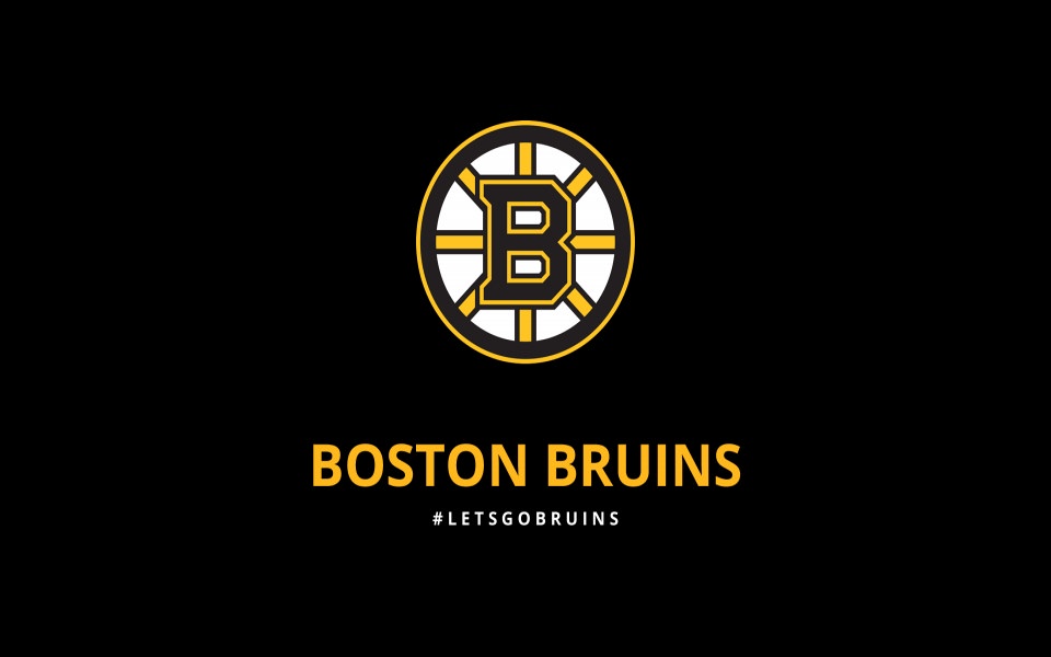 Download Boston Bruins iPhone 11 Back Wallpaper in 4K 5K wallpaper