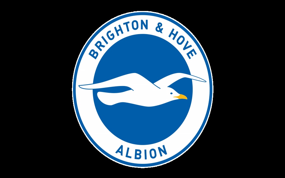 Download Brighton And Hove Albion Desktop Backgrounds for Windows 10 wallpaper