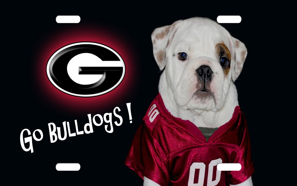 Download Bulldogs Wallpapers 8K Resolution 7680x4320 And 4K Resolution wallpaper