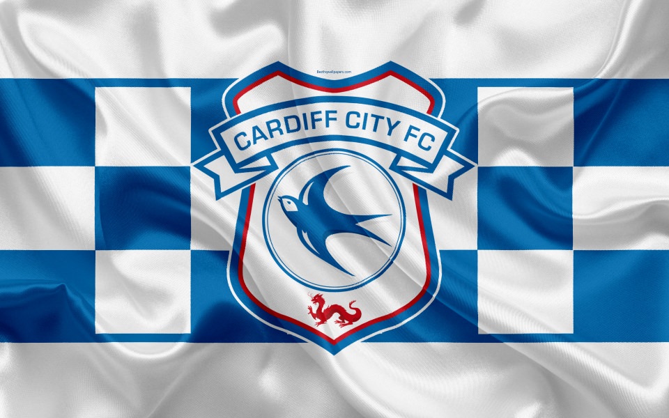 Download Cardiff City Fc 4K Wallpapers for WhatsApp wallpaper