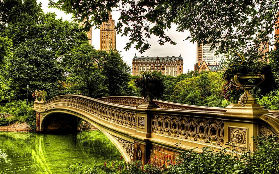 Download Central Park Free HD Pics for Mobile Phones PC wallpaper