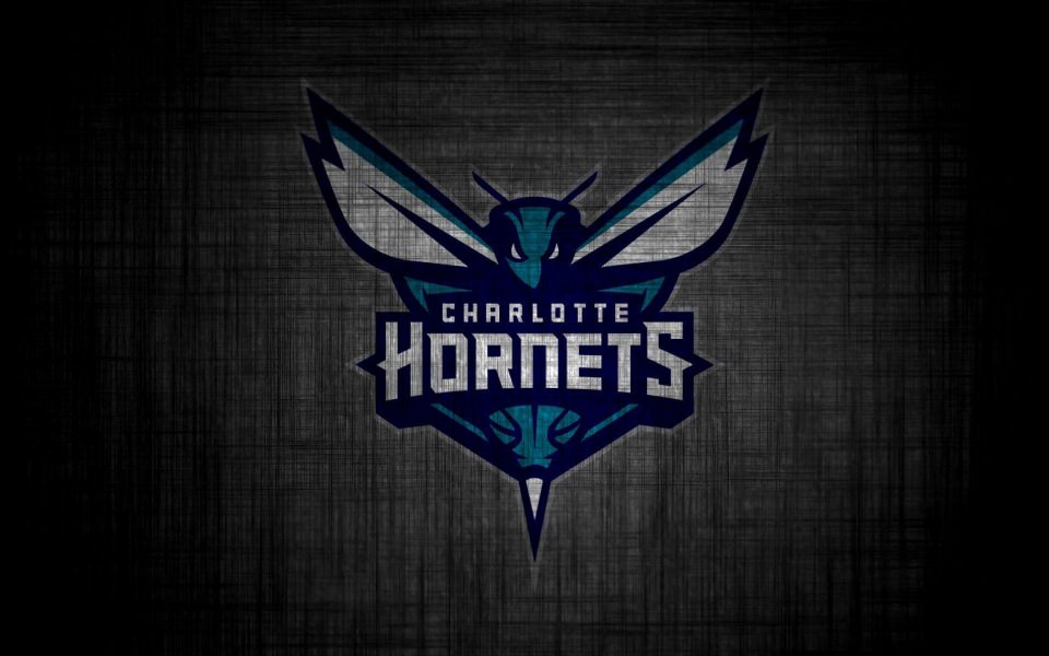 Download Charlotte Hornets iPhone 11 Back Wallpaper in 4K 5K wallpaper