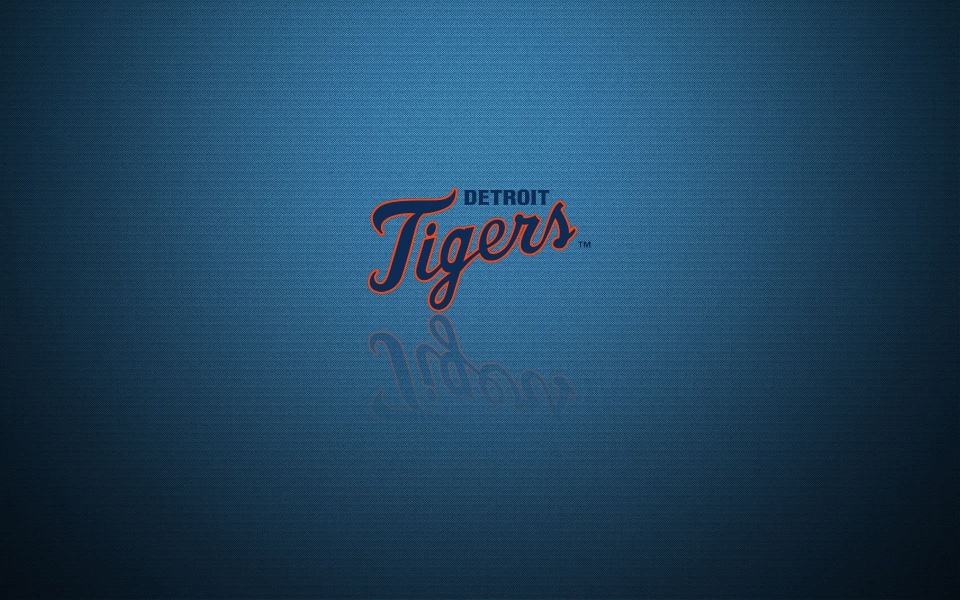 Download Detroit Tigers Download HD 1080x2280 Wallpapers Best Collection wallpaper