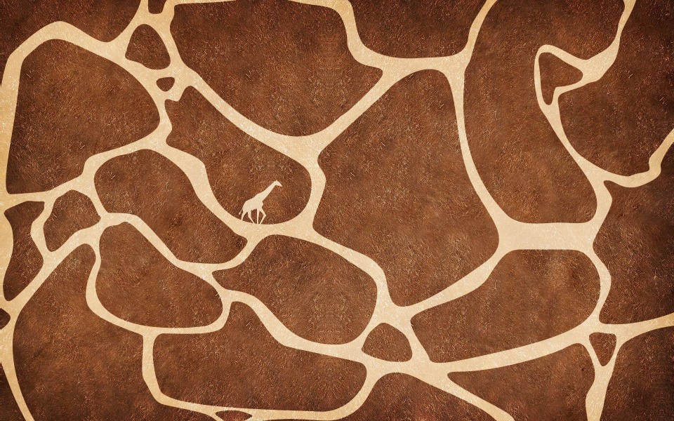 Download Giraffe Free Desktop Backgrounds wallpaper