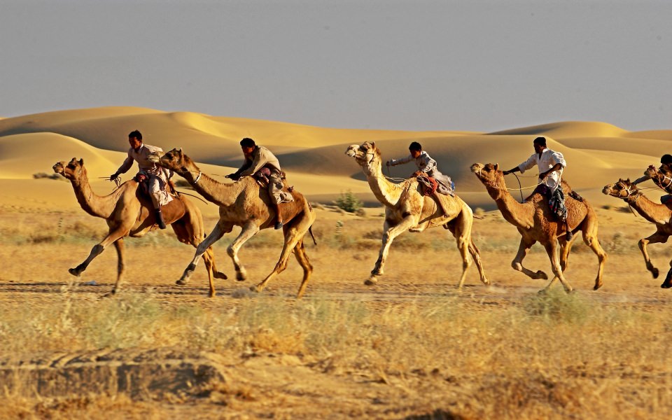 Download Jaisalmer Desert Festival Live Free HD Pics for Mobile Phones PC wallpaper