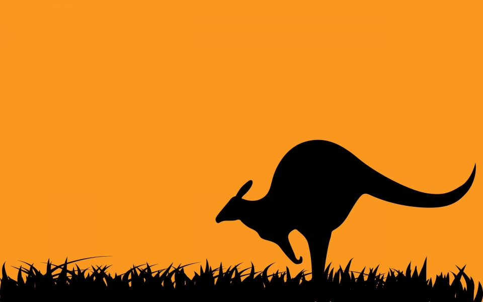 Download Kangaroo Wallpapers 8K Resolution 7680x4320 And 4K Resolution wallpaper